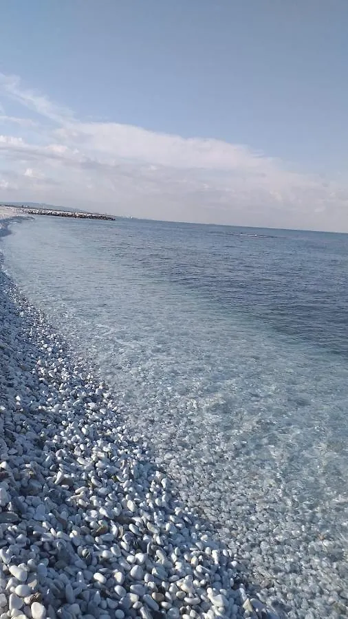 Hotel Affreschi Sul Mare à Marina Di Pisa