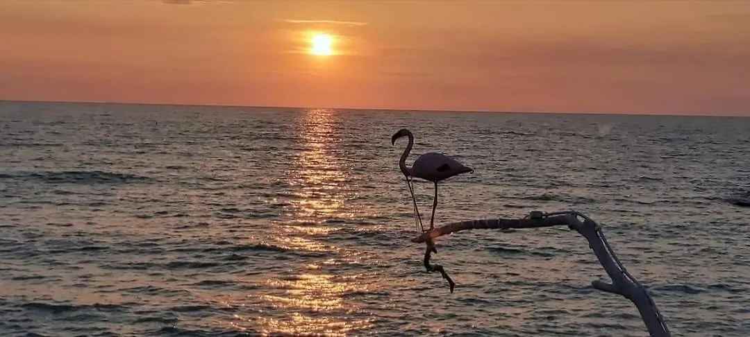 Hotel Affreschi Sul Mare à Marina Di Pisa Maison d'hôtes
